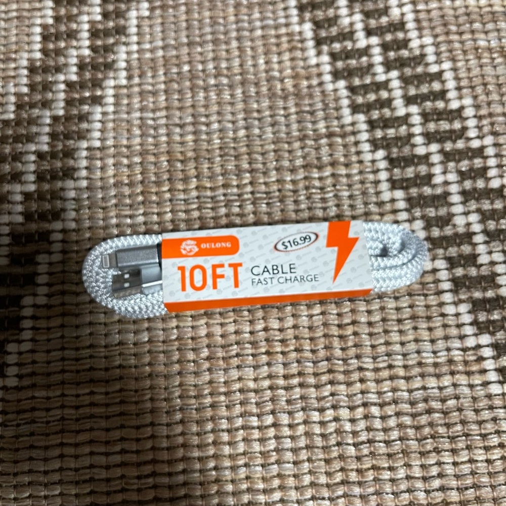 10FT Silver Fast Charge Cable
